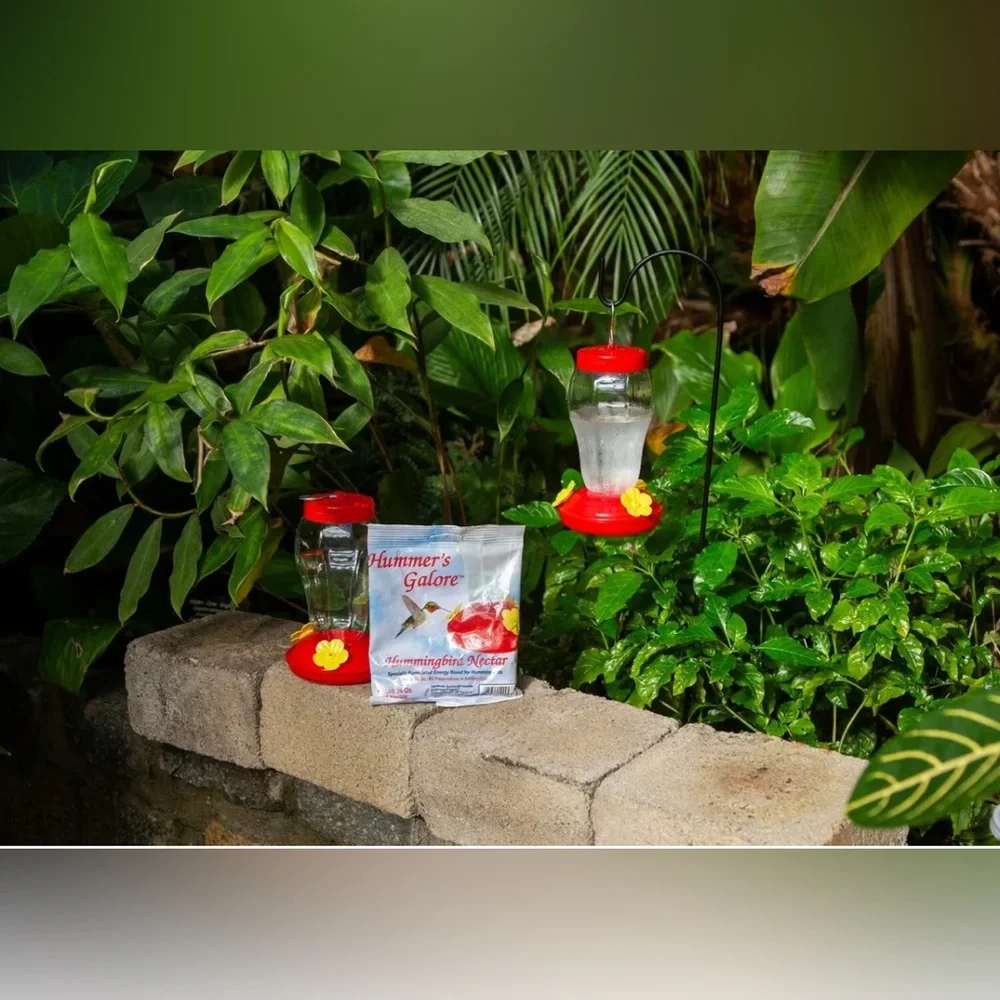 Hummingbird Necter Feeder Hanging Patio Tree Balcony Lanai Garden Plastic Birds